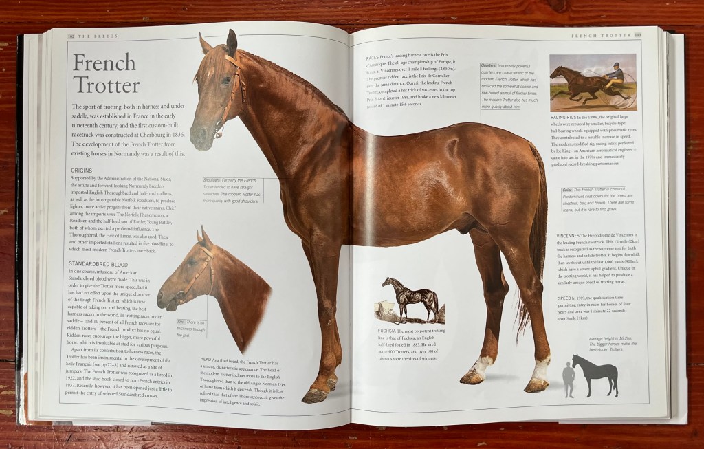 Gifts for Kids Who Love&nbsp;Horses