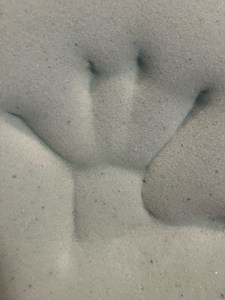 Handprint in Linenspa Gel Infused