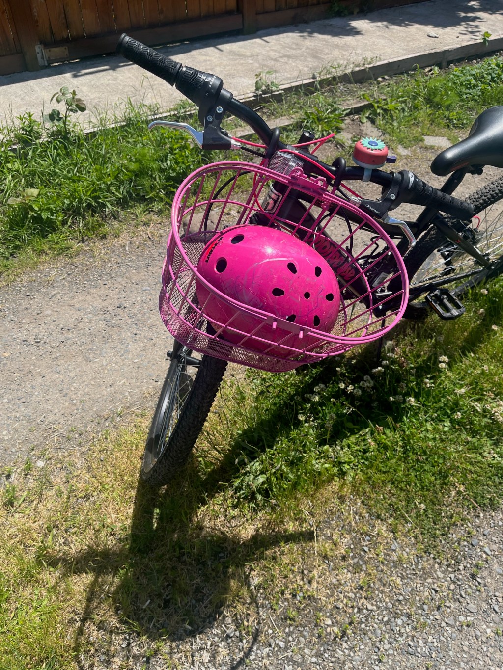 Colorbasket Bike Basket