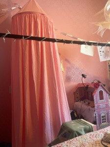 PInk princess canopy tent set up in child's room