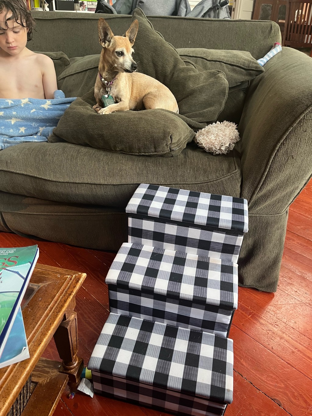 Dog Stairs: Prevent Injury to Your Four-Footed&nbsp;Friend