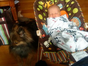 Infant swaddled and sleeping in Fisher Price Baby Bouncer vibrating seat