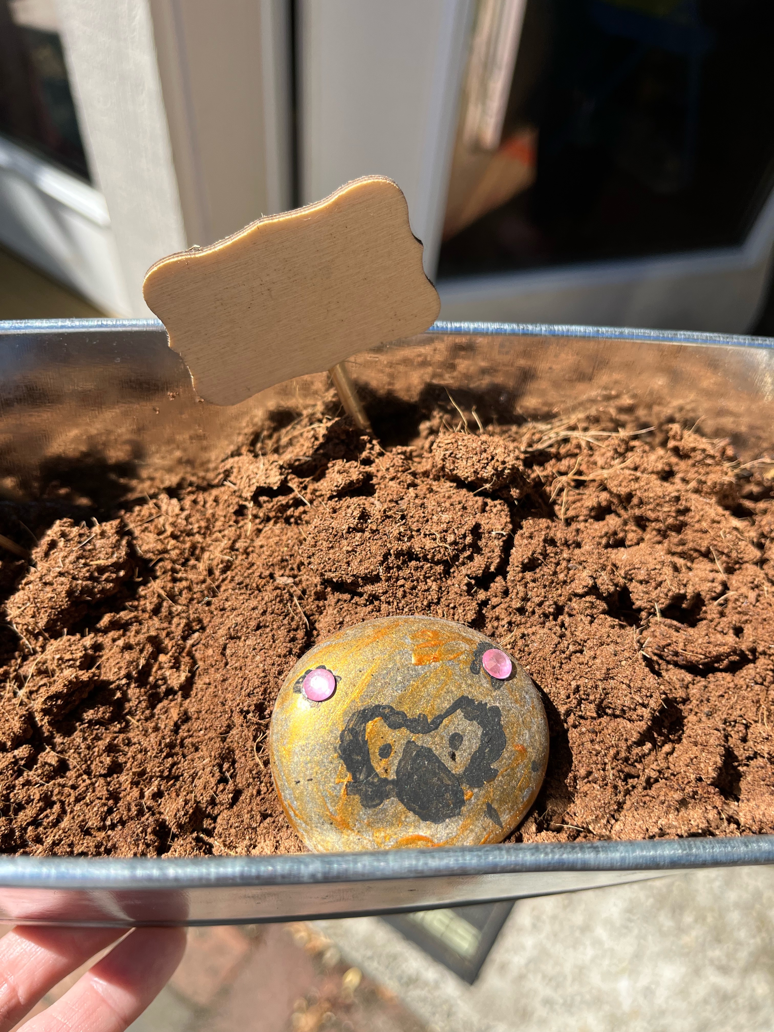 Rock painted from kit inside paint and plant