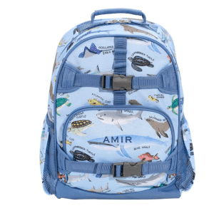 This backpack comes in multiple sizes and styles. Pottery Barn MacKenzie Kids' Backpack in Save the Seas print