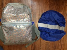 IMG Kids' backpack in gray with pink cheetah print from Target