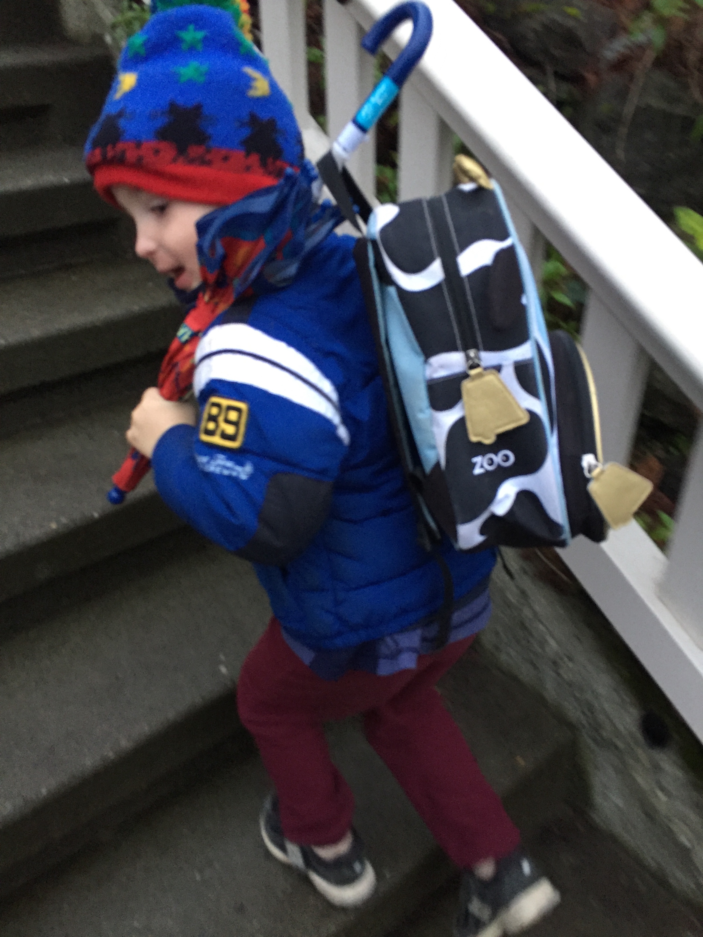 Child going up stairs carrying Skip Hop Zoo cow backpack with Stephen Joseph umbrella