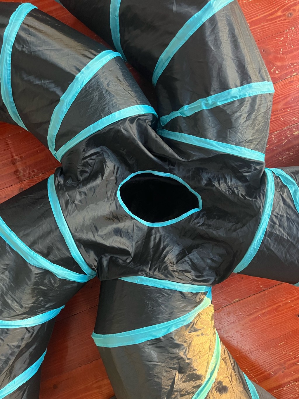 Five Way Cat&nbsp;Tunnel