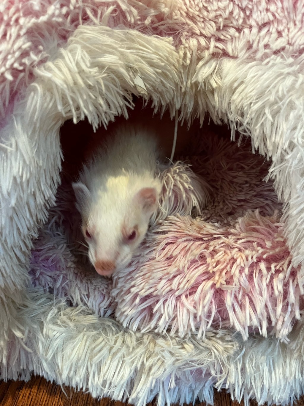 Combat the Cold with These Cuddly&nbsp;Comforts