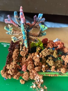 KiwiCo Crystal Chemistry Garden