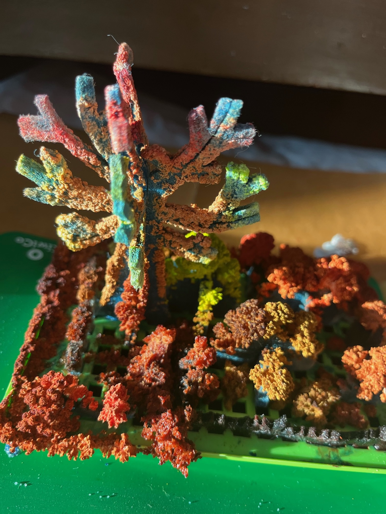 KiwiCo Crystal Chemistry Garden Kit growing colored salt crystals