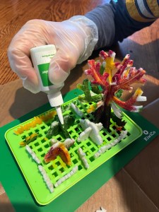 KiwiCo Crystal Chemistry Garden Kit eight year old child adding green dye to felt g