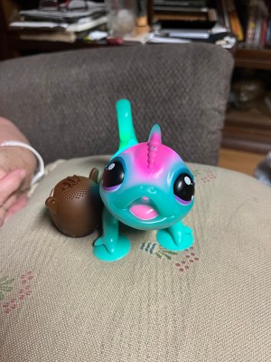 Little Live Pets Sunny the Chameleon light up interactive pet