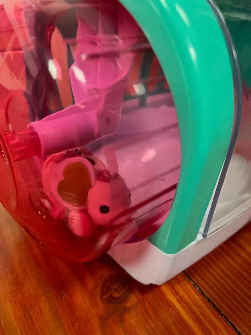 Exotic Pets for Kids With Zero&nbsp;Commitment