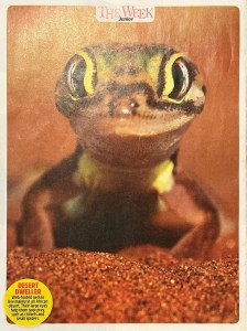 Back cover photos of The Week Junior magazine for kids featuring