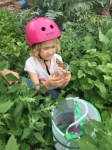 Girl holding monarch butterfly on cup she raised in a butterfly garden