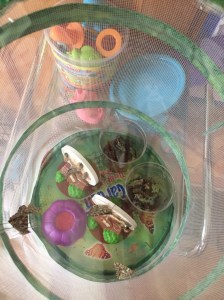 Butterfly Garden habitat with monarch butterflies inside