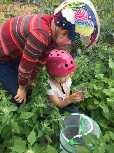 Kids releasing monarch butterflies grown in butterfly garden kit habitat