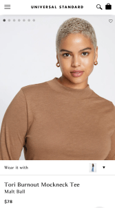 Universal Standard Tori Burnout Mockneck Tee in malt ball brown color