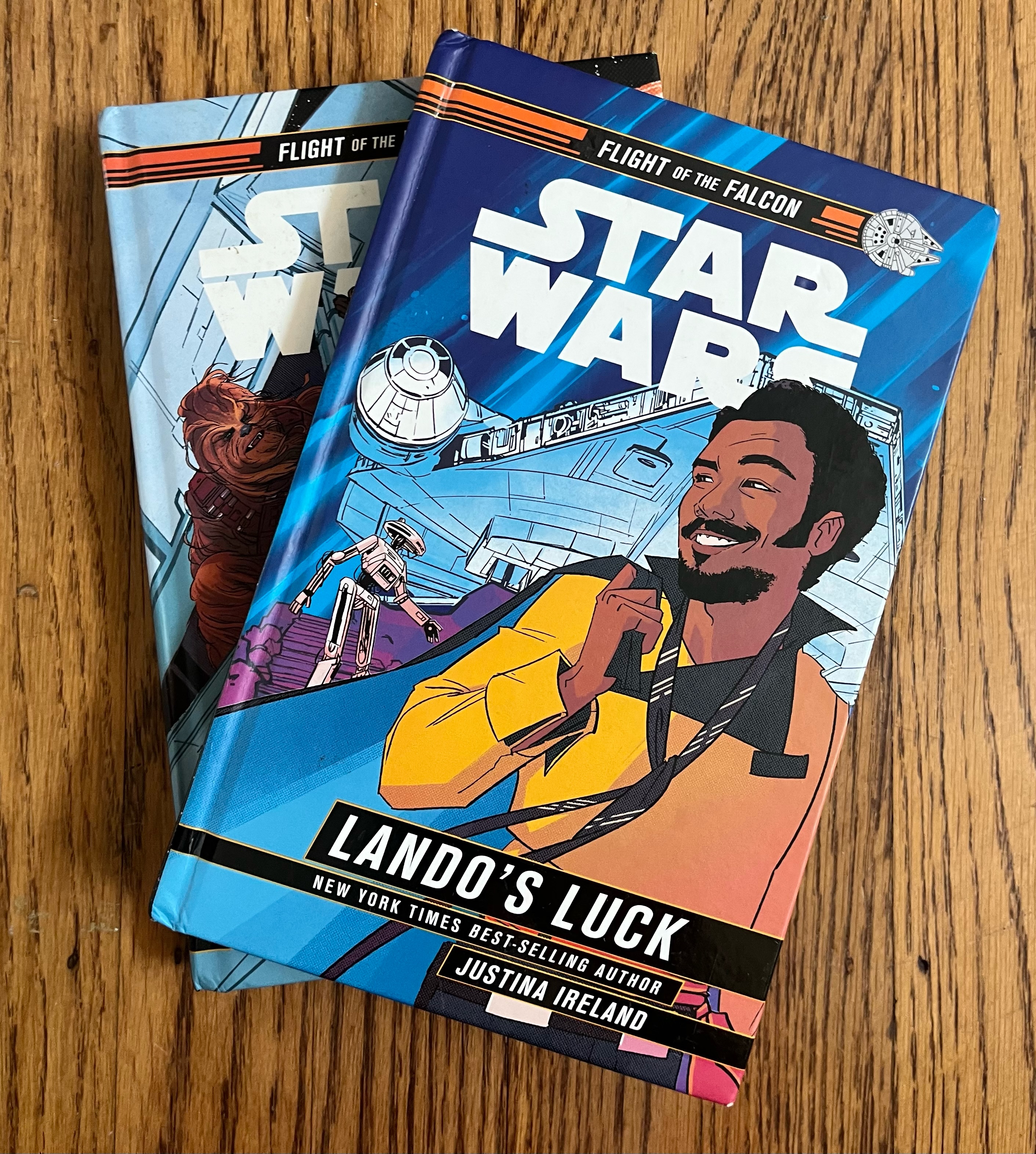 Take Flight With the Millennium Falcon Thanks to These Chapter Books for Kids