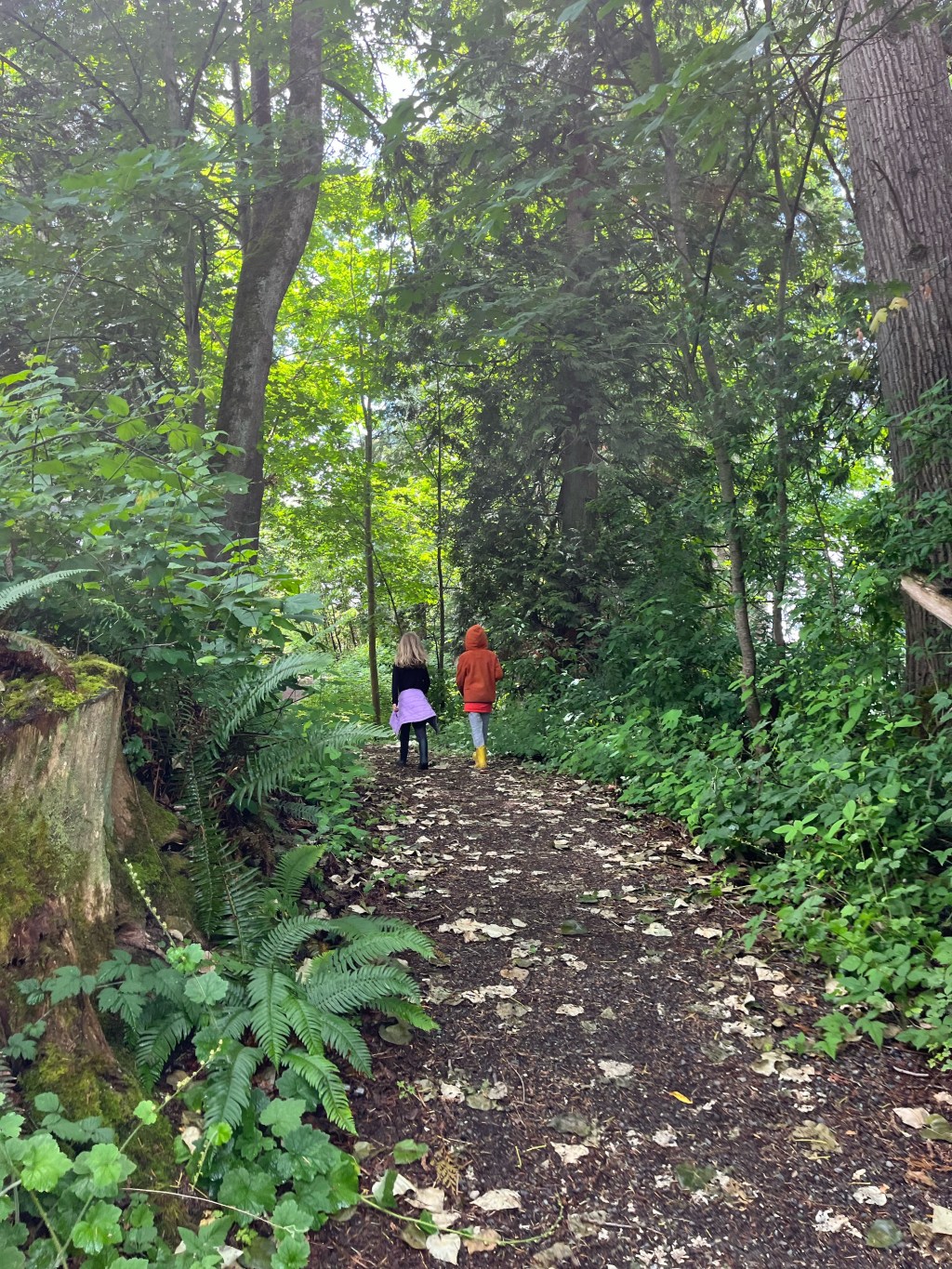 This Fun Family Activity Gets Kids&nbsp;Outside