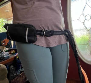 Lanney hands free dog waist leash with removable poun