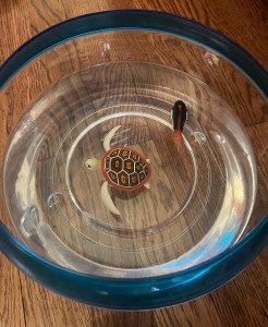 Robo Fish and Robo Turtle pretend pet toys