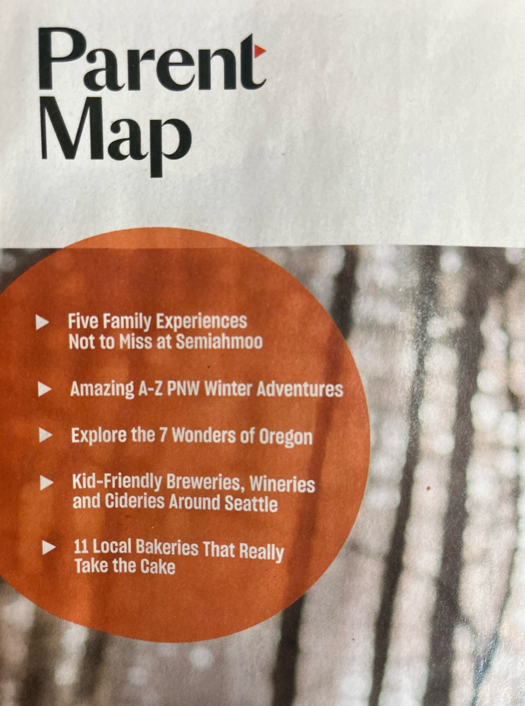 The Parenting Place for Puget Sound&nbsp;Families