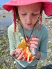 Eleven year old girl holding nudibranch on beach wearing pink sun hat