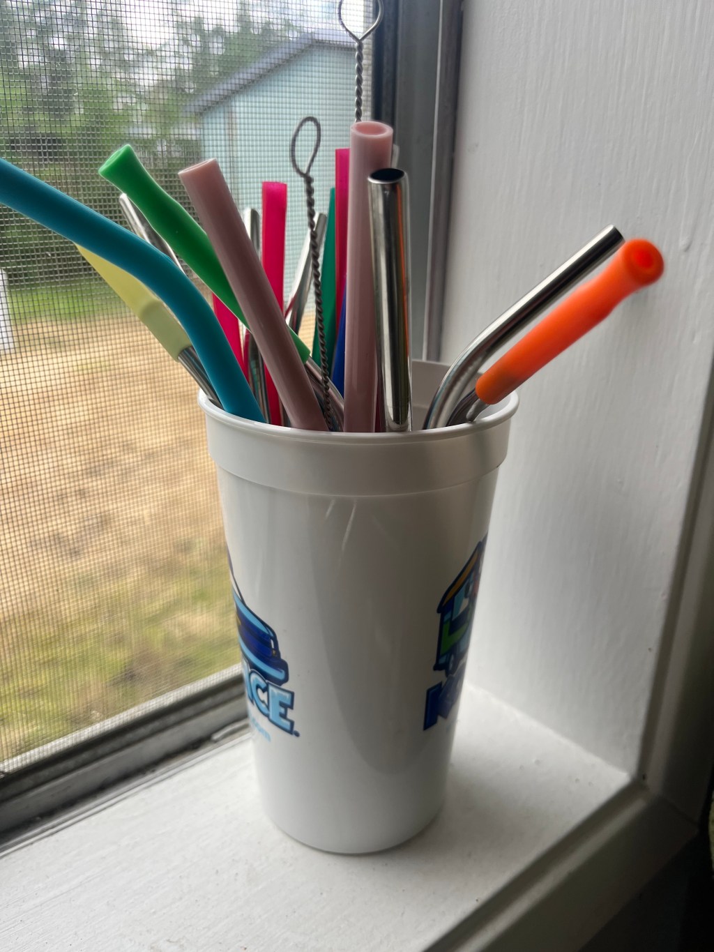 The Best Reusable Straw Case