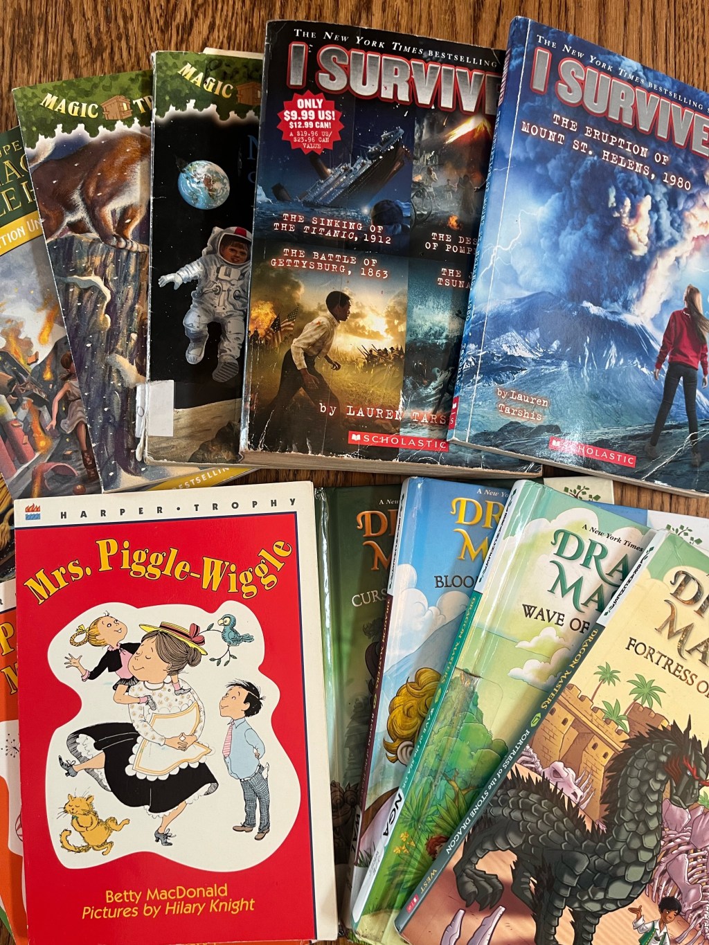 Chapter Books for Readers Ready for More&nbsp;Adventure