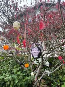 Dogwood tree decorated with tiny plastic pumpkins