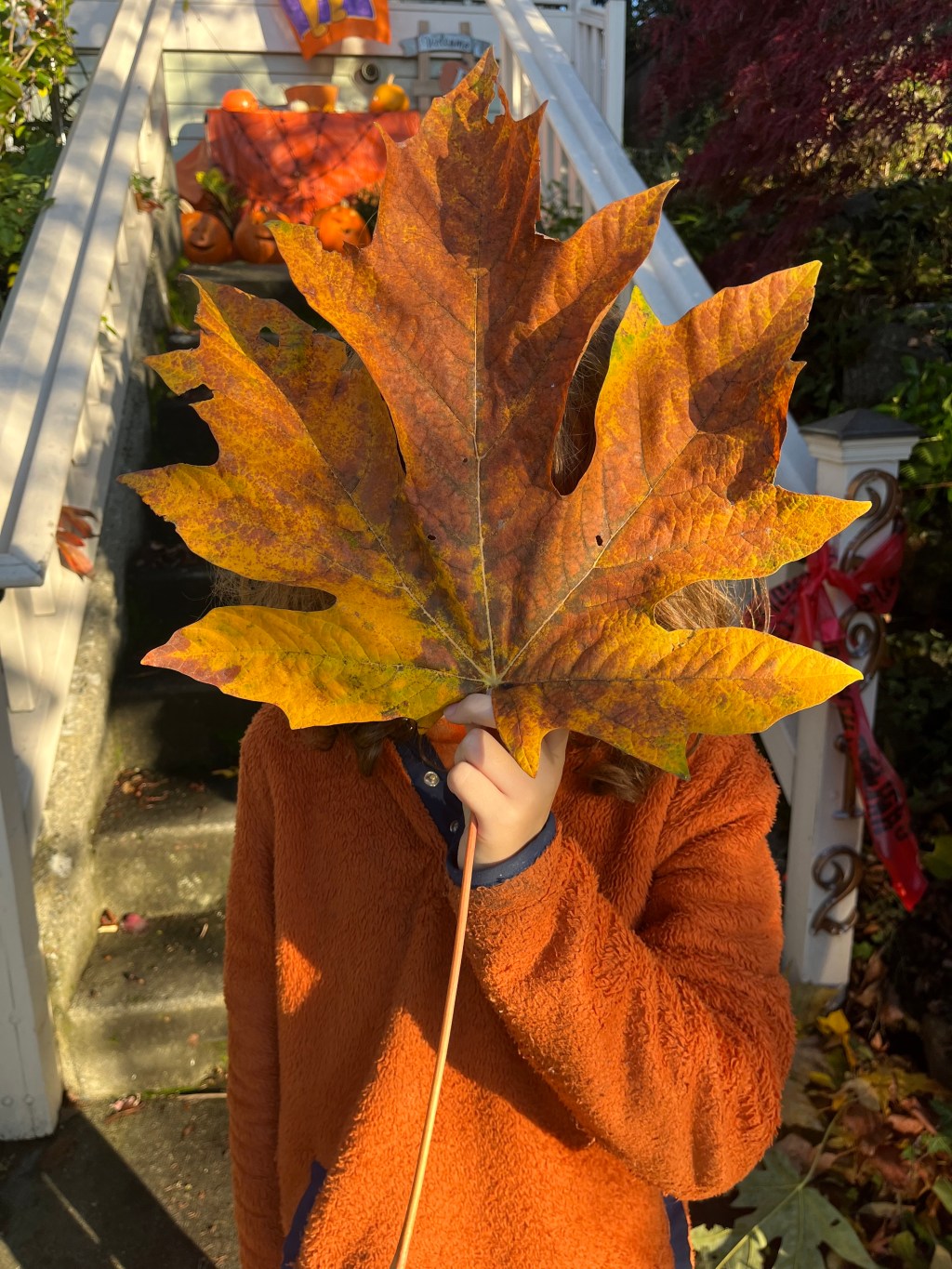 Fall for Seasonal Family&nbsp;Fun