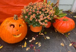 Jack o lantern, marigold plant in orange pot, and orange pumpkin on concrete deck