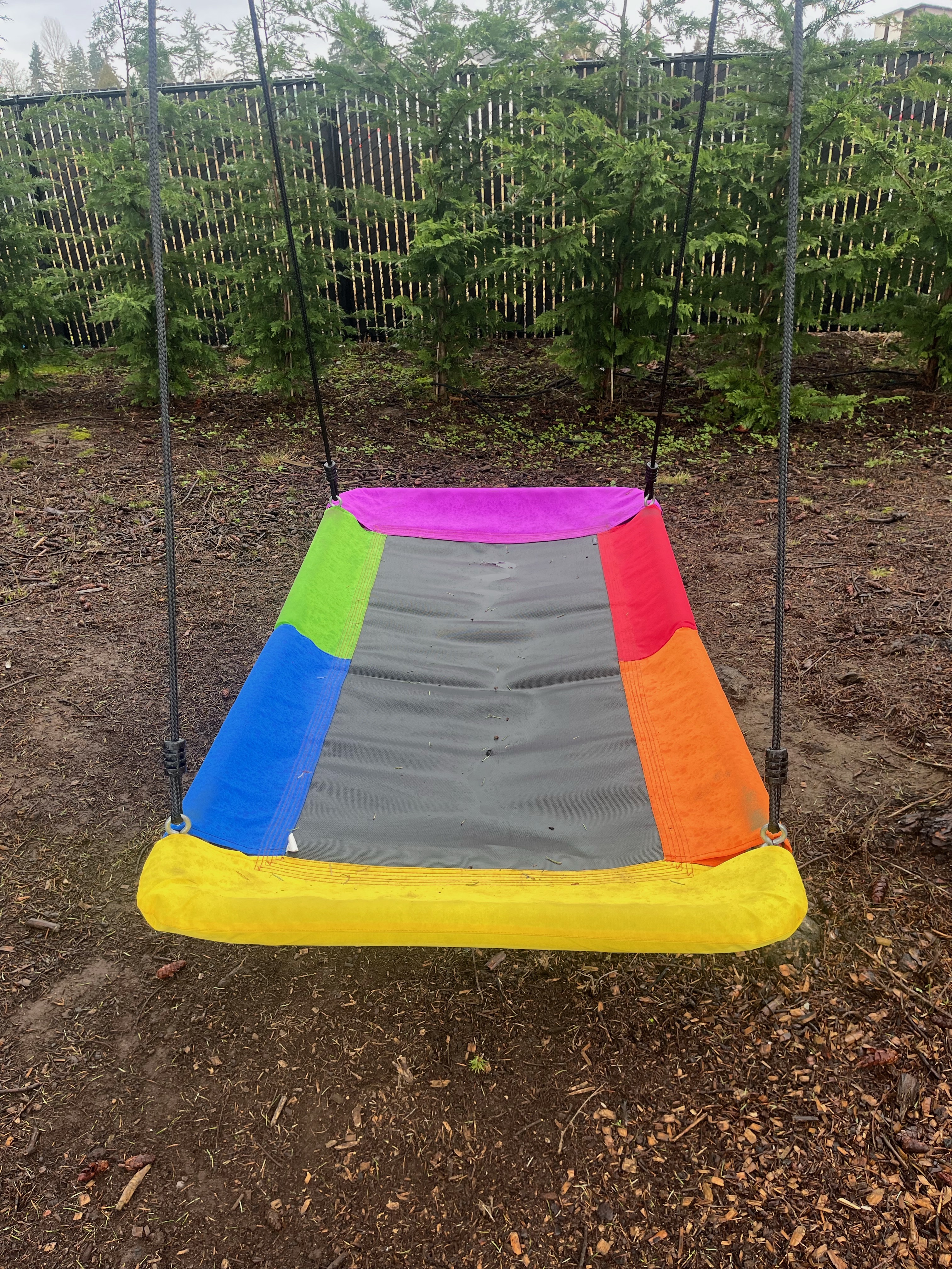 Trebussy platform tree swing with rainbow colored edges hanging in yard