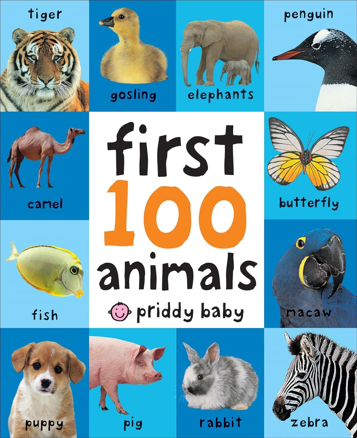 Smaller First 100 Animals board book on Amazon