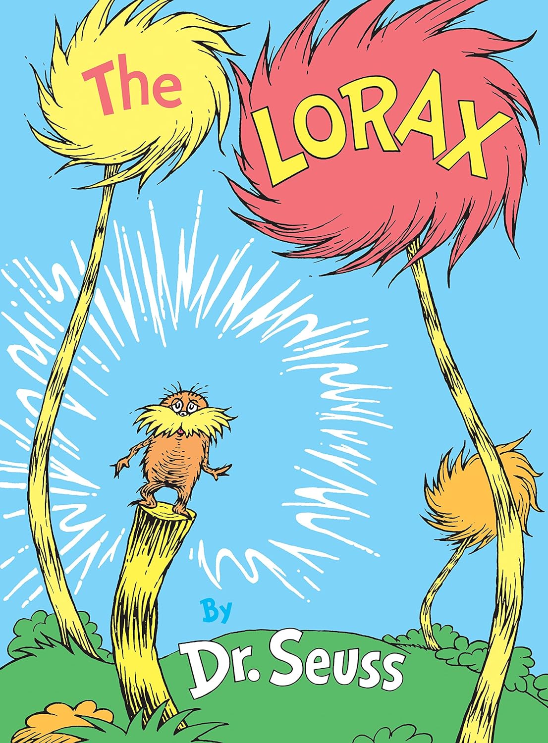 The Lorax book on Amazon