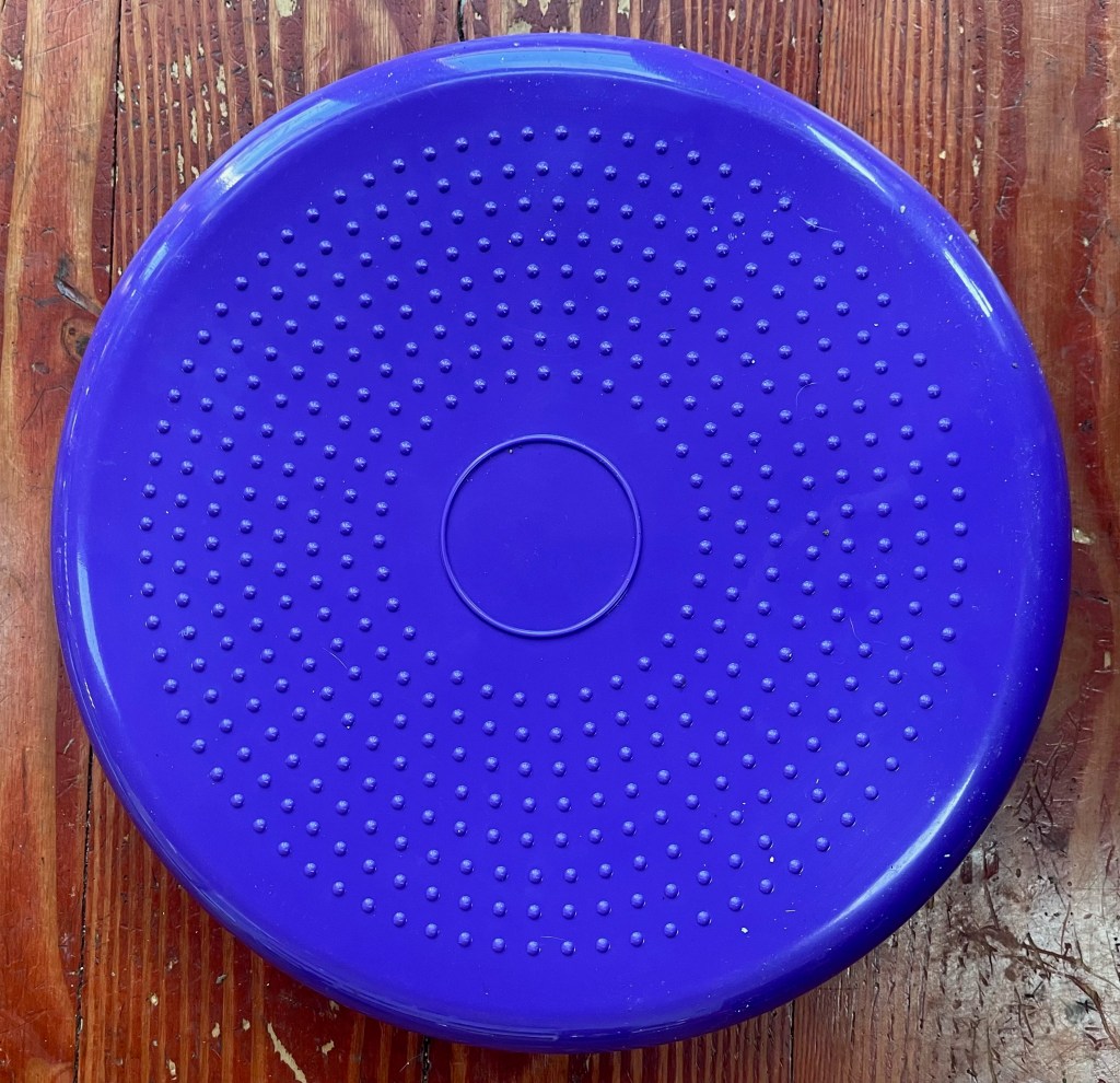 Why We Love This Wobble&nbsp;Cushion