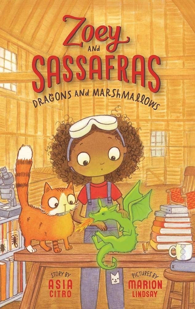 Dragons and Marshmallows Zoey and Sassafras book on Amazon