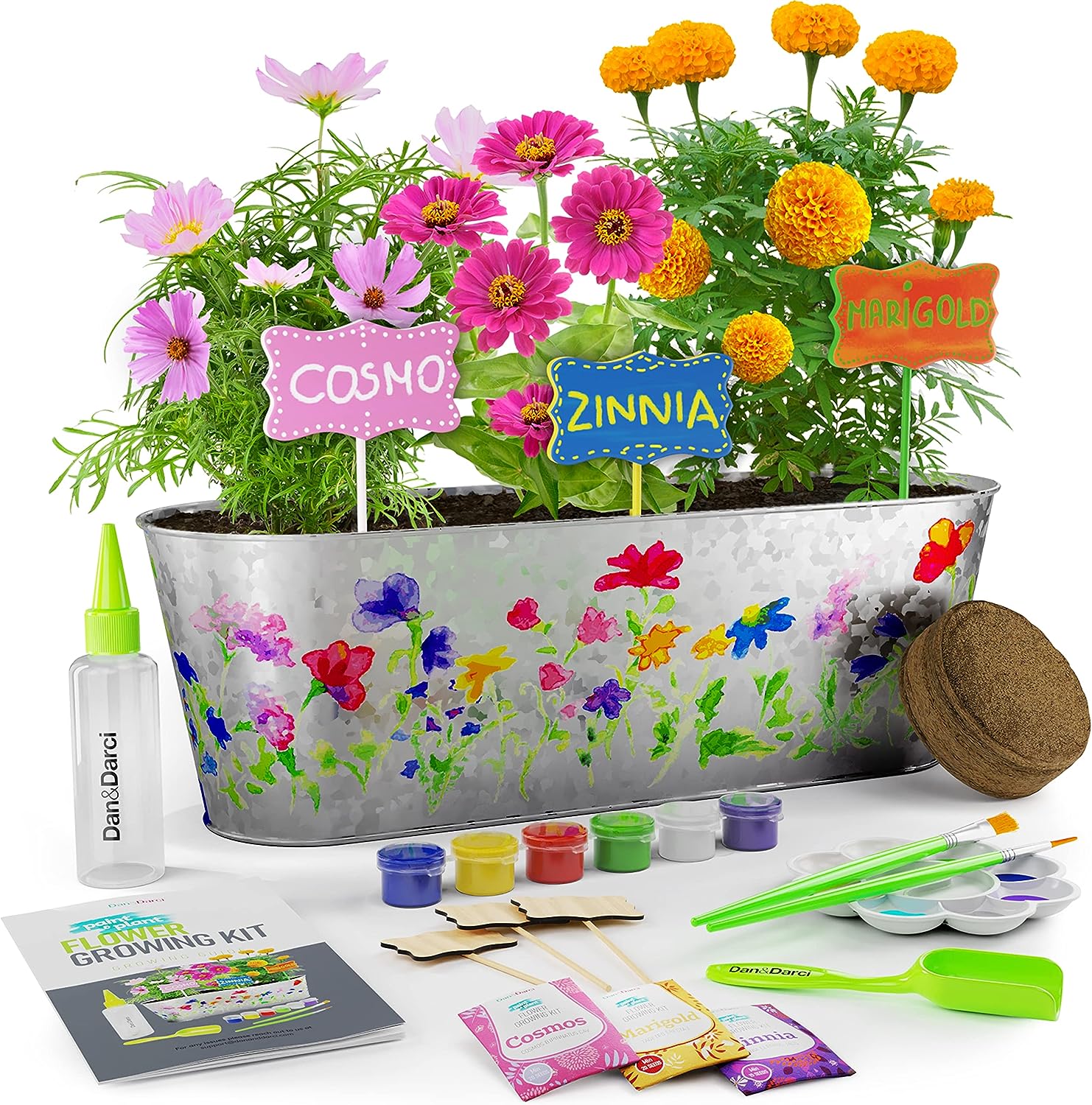 Paint & Plant Flower Growing Kit for Kids on Amazon