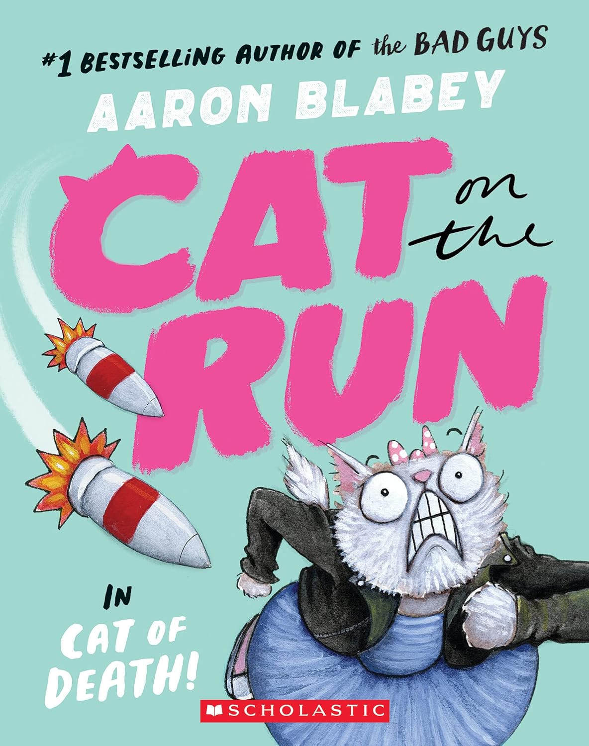 Cat on the Run Book by Aaron Blabey cover image