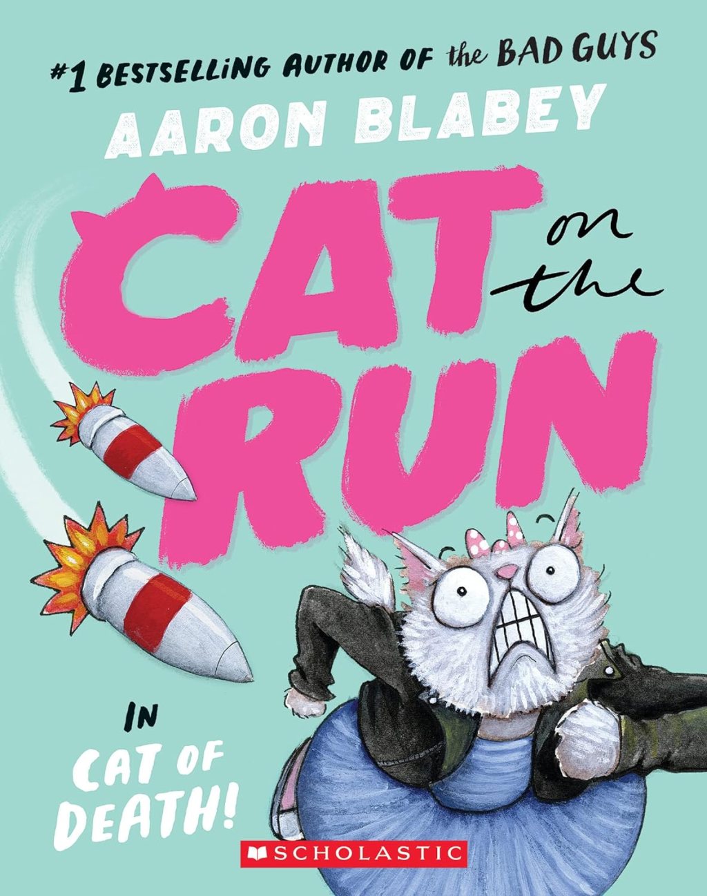 Don’t Miss This Cat on the Run Book