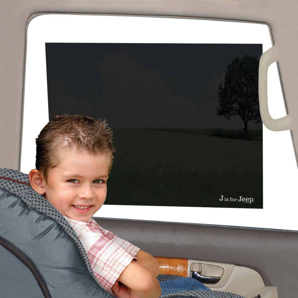 We have used these stick on shades for more than five years. Car Sun 2 Pack Shade on Amazon