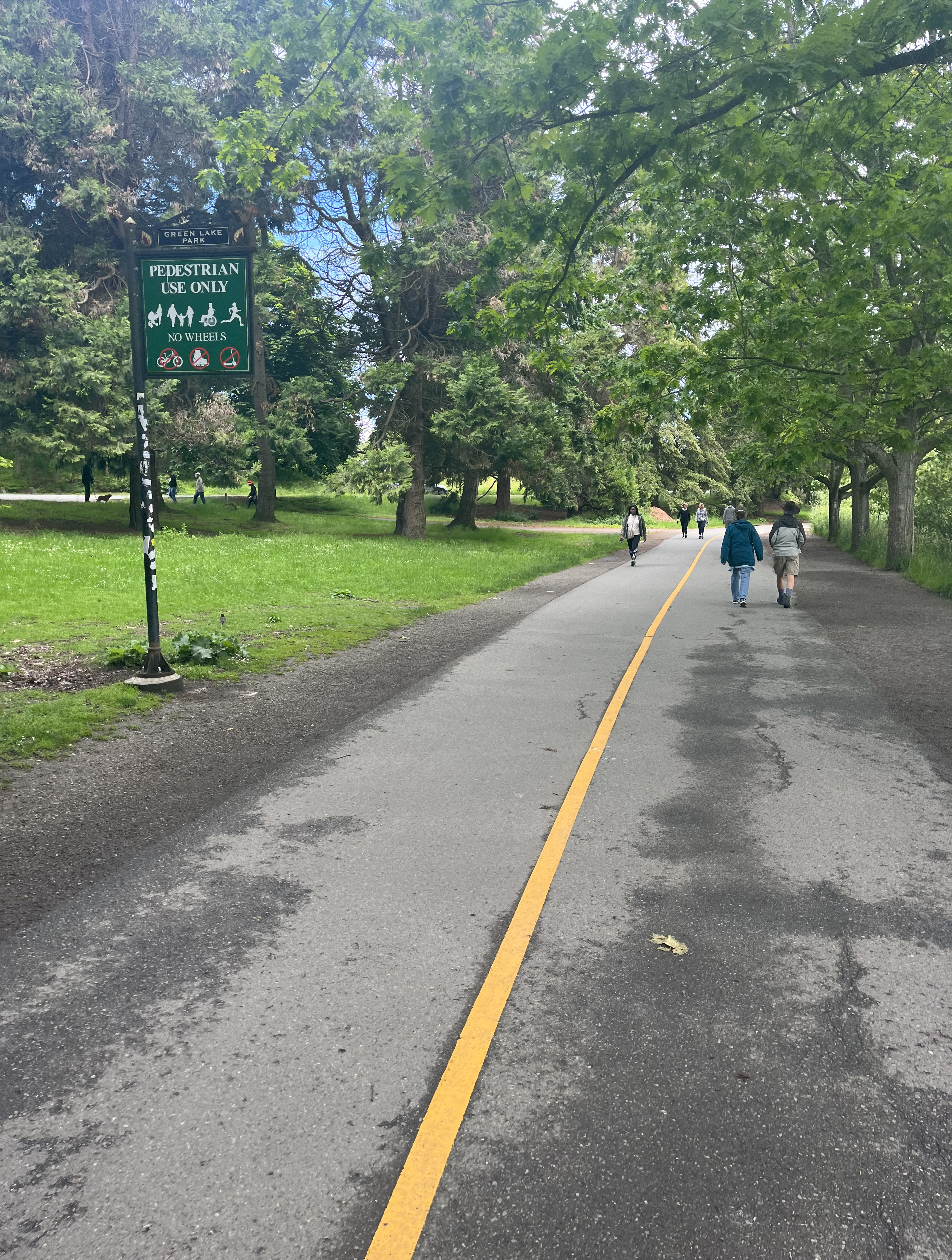 Paved walking path through park