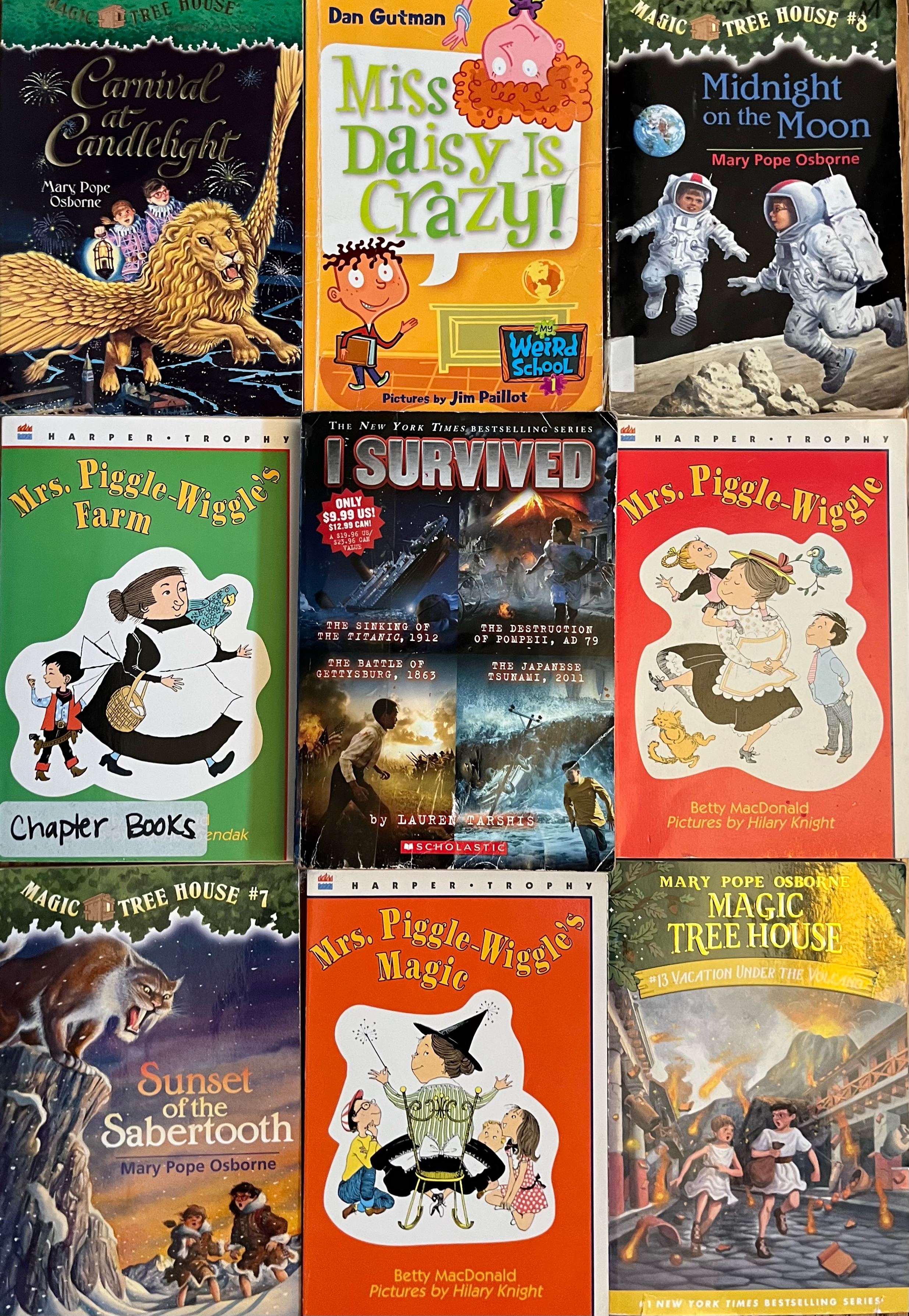 Great chapter books for kids ages six to nine Magic Tree House, Mrs. Piggle Wiggle, I Survived, and