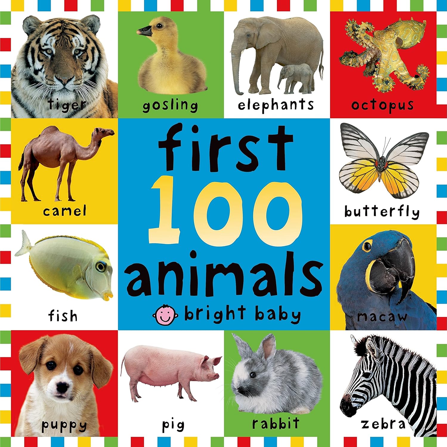 First 100 Animals board book on Amazon