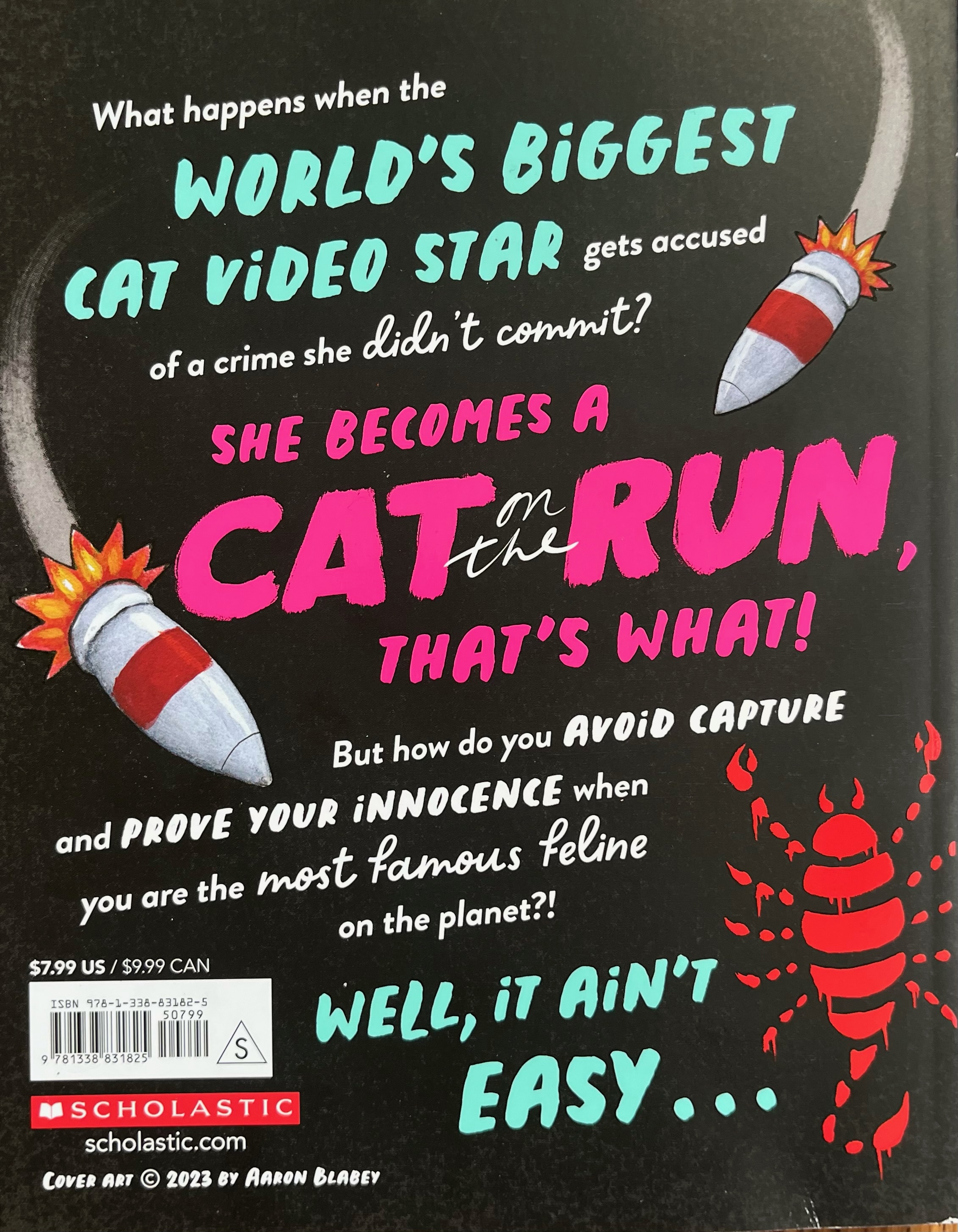 Cat on the Run book by Aaron Blabey