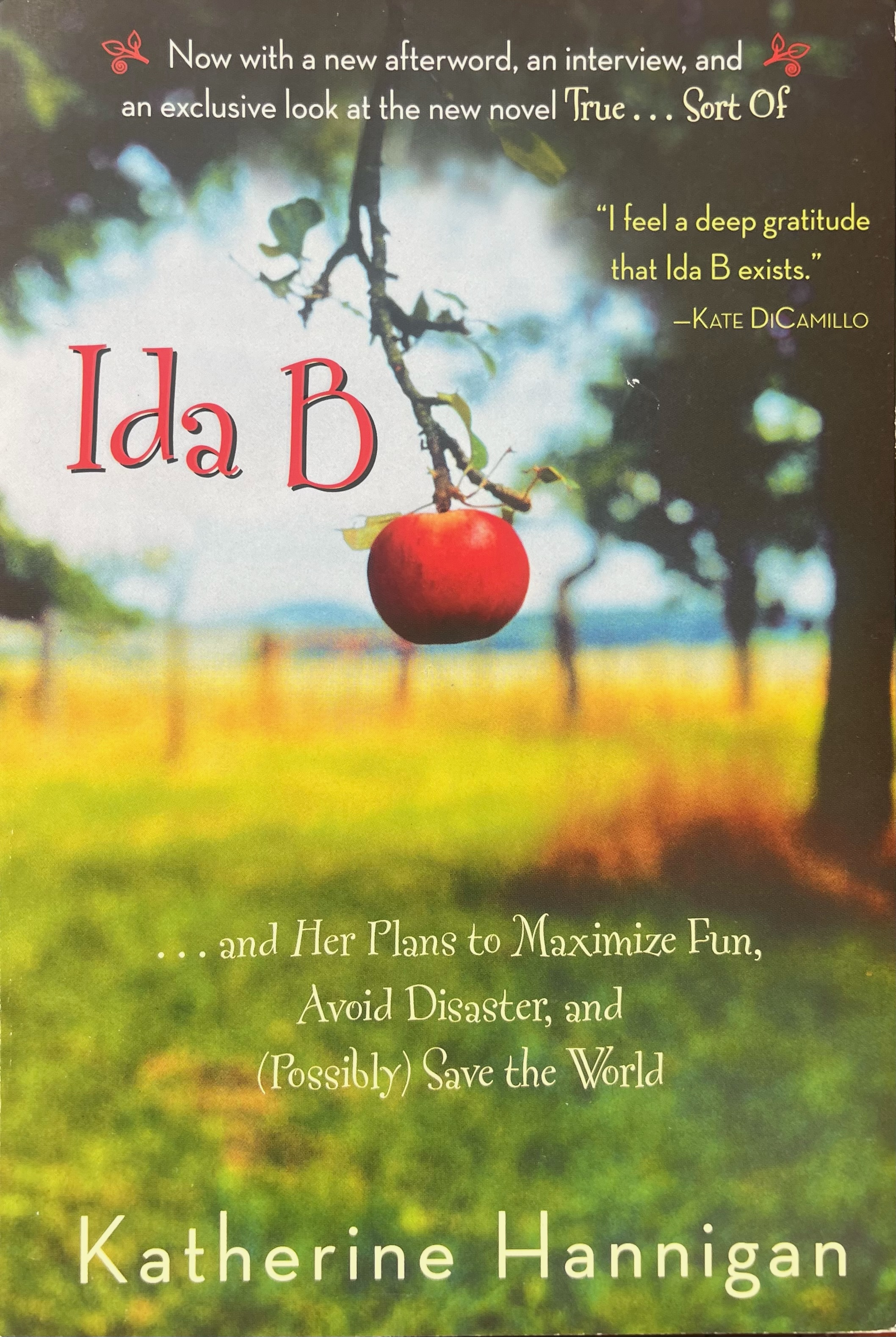 This book offers a touching story featuring fabulous fourth grader Ida B. Ida B book cover by Katherine Hannigan
