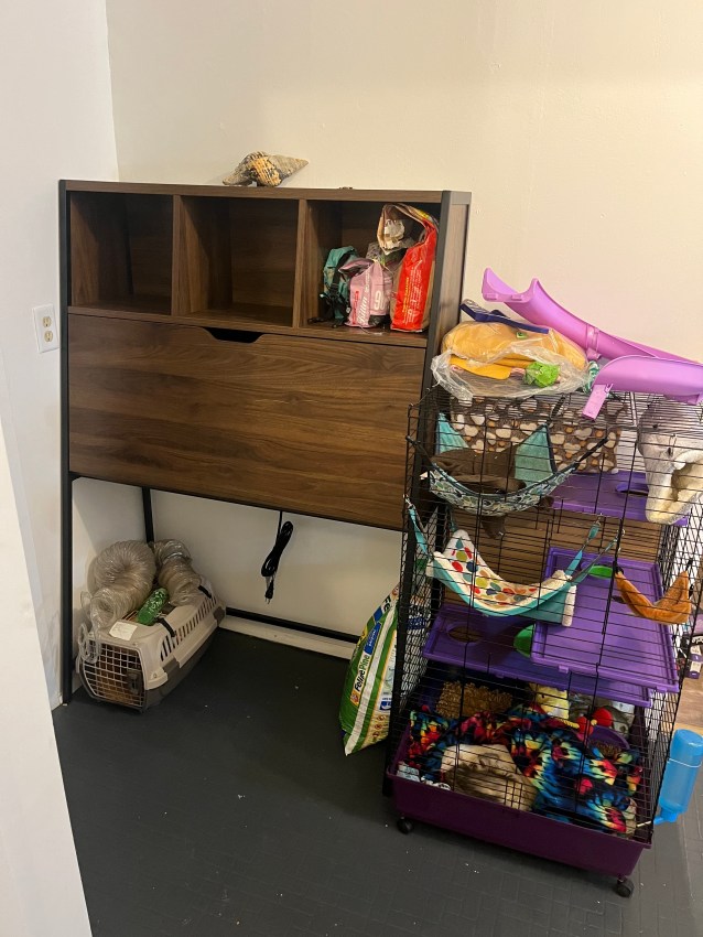Loring Modern Secretary Desk in corner of small hallway next to small animal pet cage