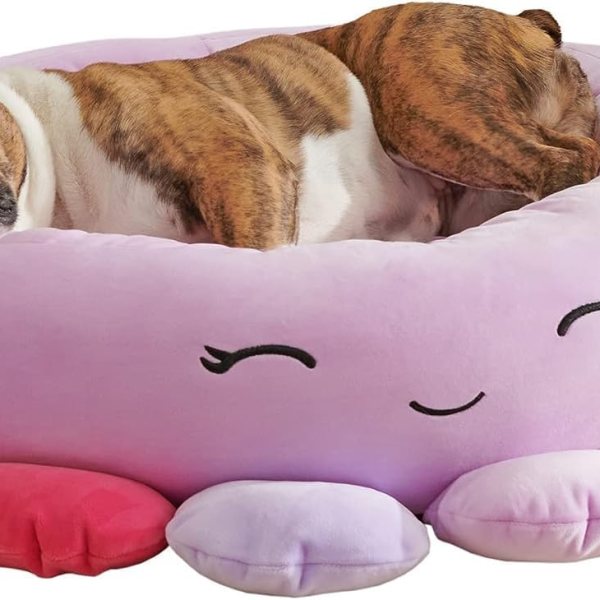 Pets Will Love This Squishmallows Pet&nbsp;Bed
