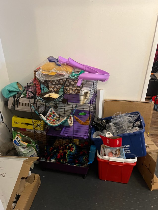 Small animal pet cage with recycling and junk piled up next to it in compact hallway corner